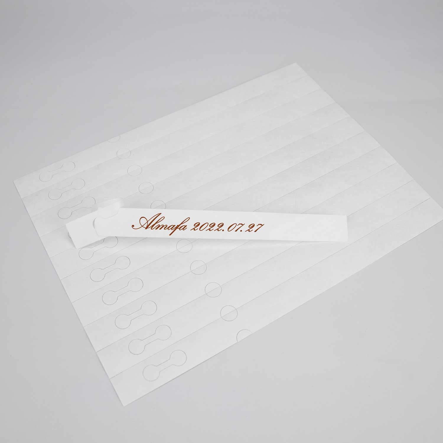 Étiquettes Tyvek indéchirables et résistantes pour vos plantes.