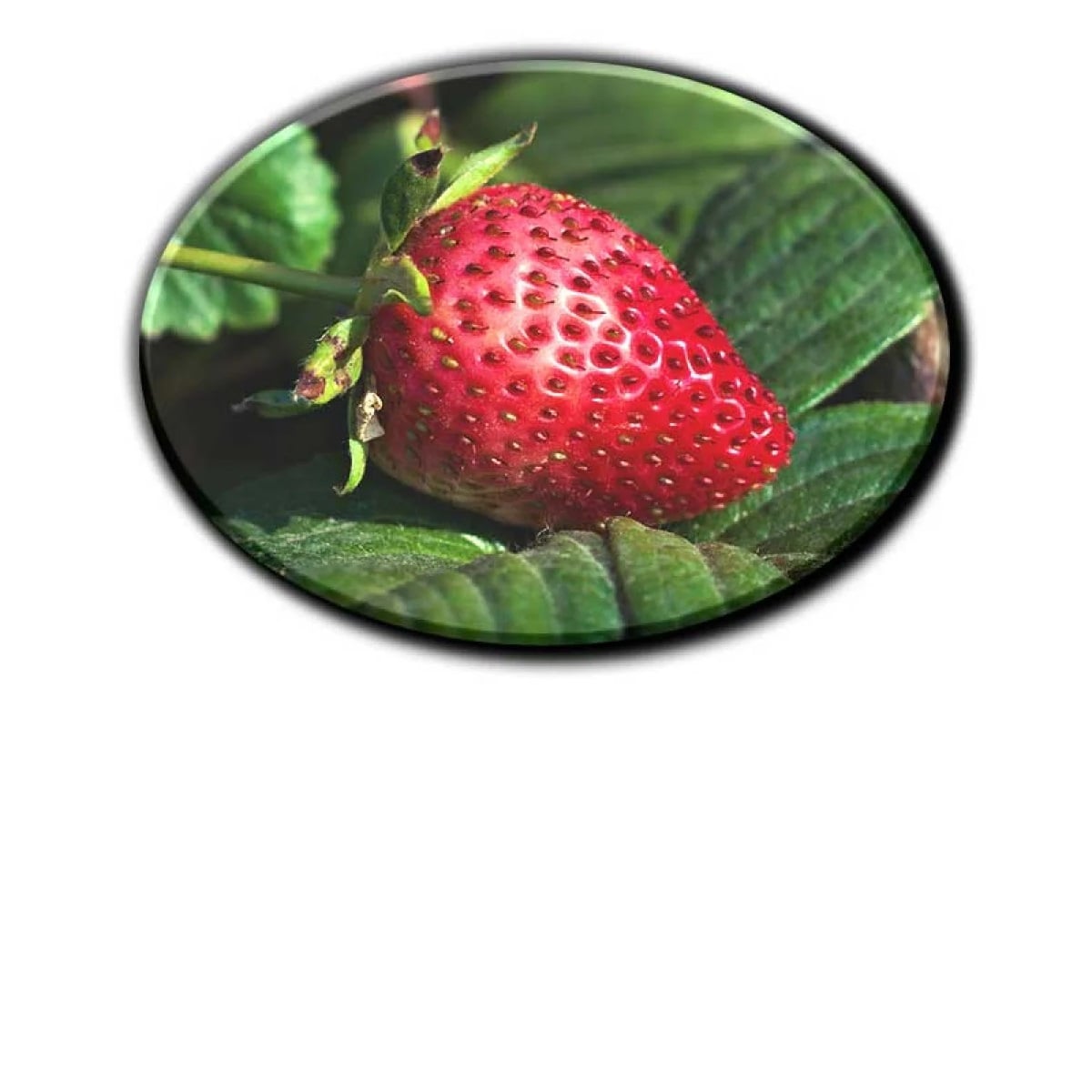 Impression haute définition capturant chaque détail avec précision.