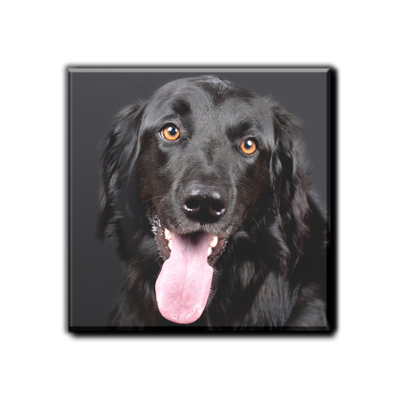 Impression HD couleur pour des détails nets et des couleurs éclatantes.