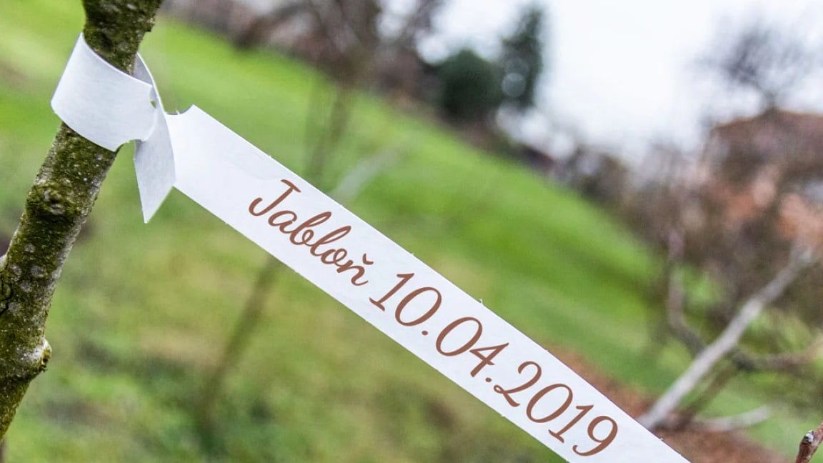 Système de boucle auto-verrouillante pour une fixation rapide.