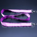 Premium Lanyards with Two Carbiners