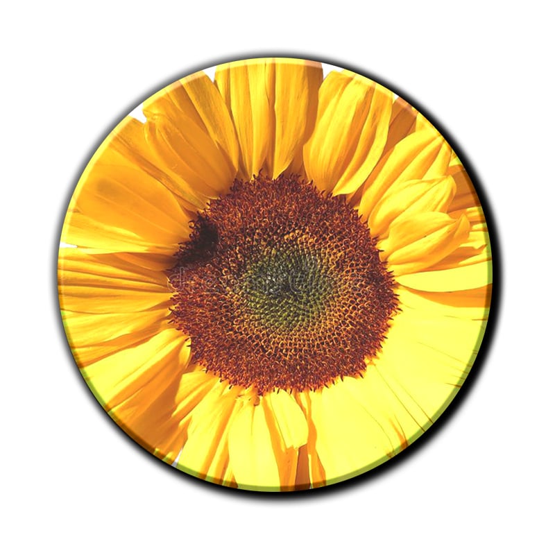 Découvrez la beauté naturelle du bois avec nos magnets photo ronds.