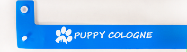 Yes, I need one color customization (1+0)! - +€10.000 (+€12.300 Incl. Tax)